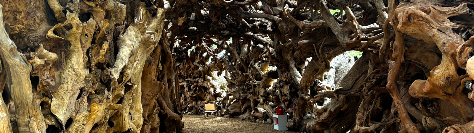 一馆一廊一壁一路——古树根绘就的自然画卷