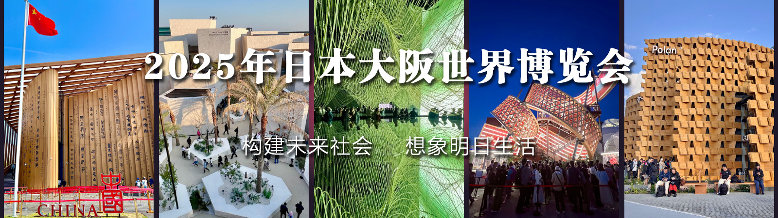 以木为媒——国际木文化学会深度记录2025大阪世博会
